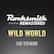 Rocksmith® 2014 – Wild World - Cat Stevens