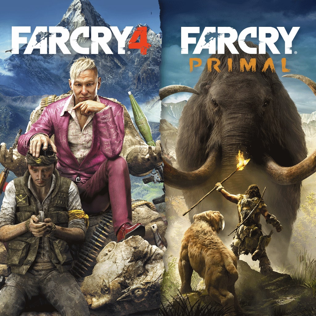  PS4 Far Cry 4 : Video Games