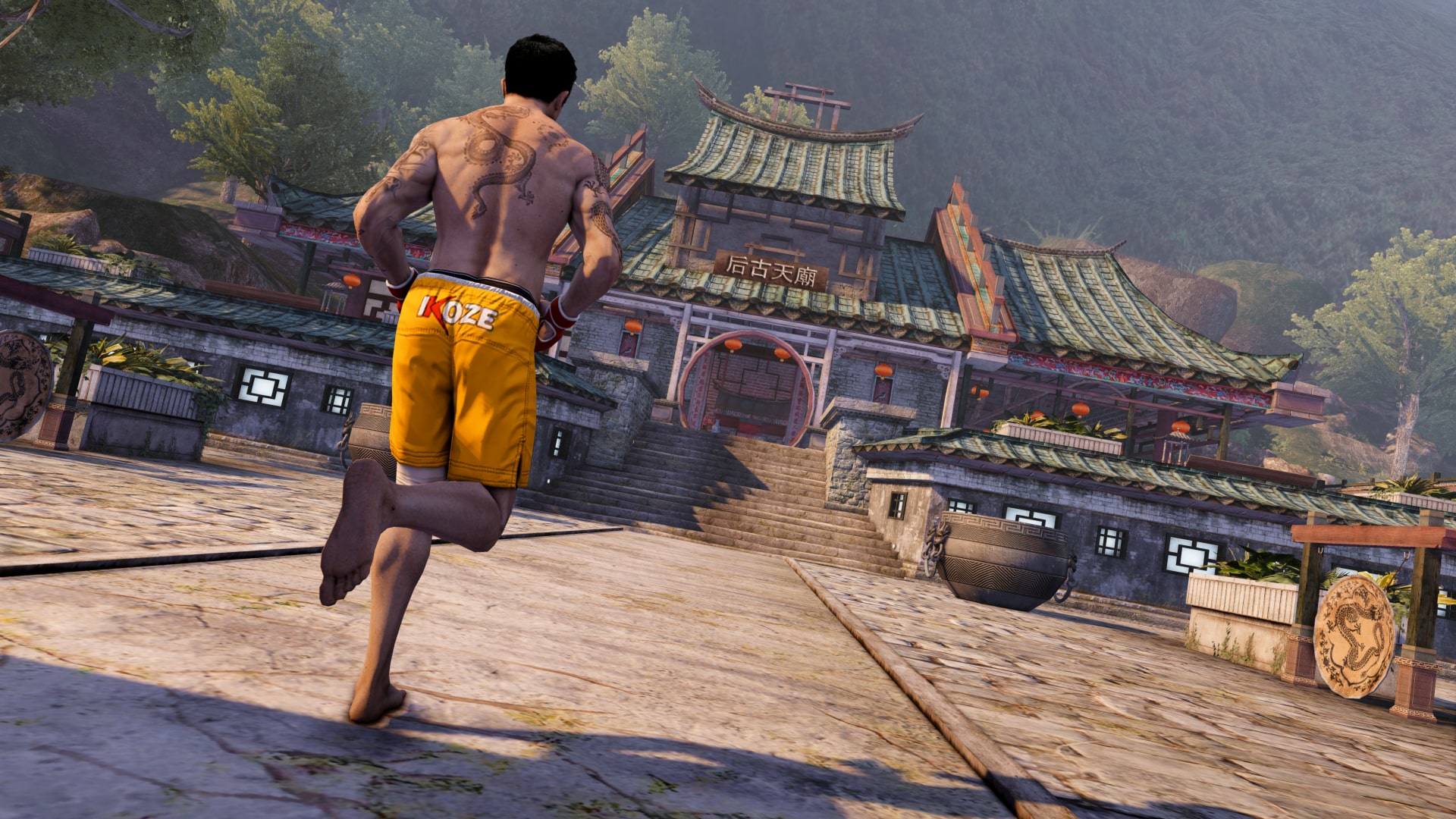 sleeping dogs images