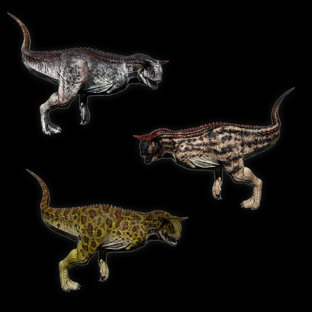 Carno Pack 01