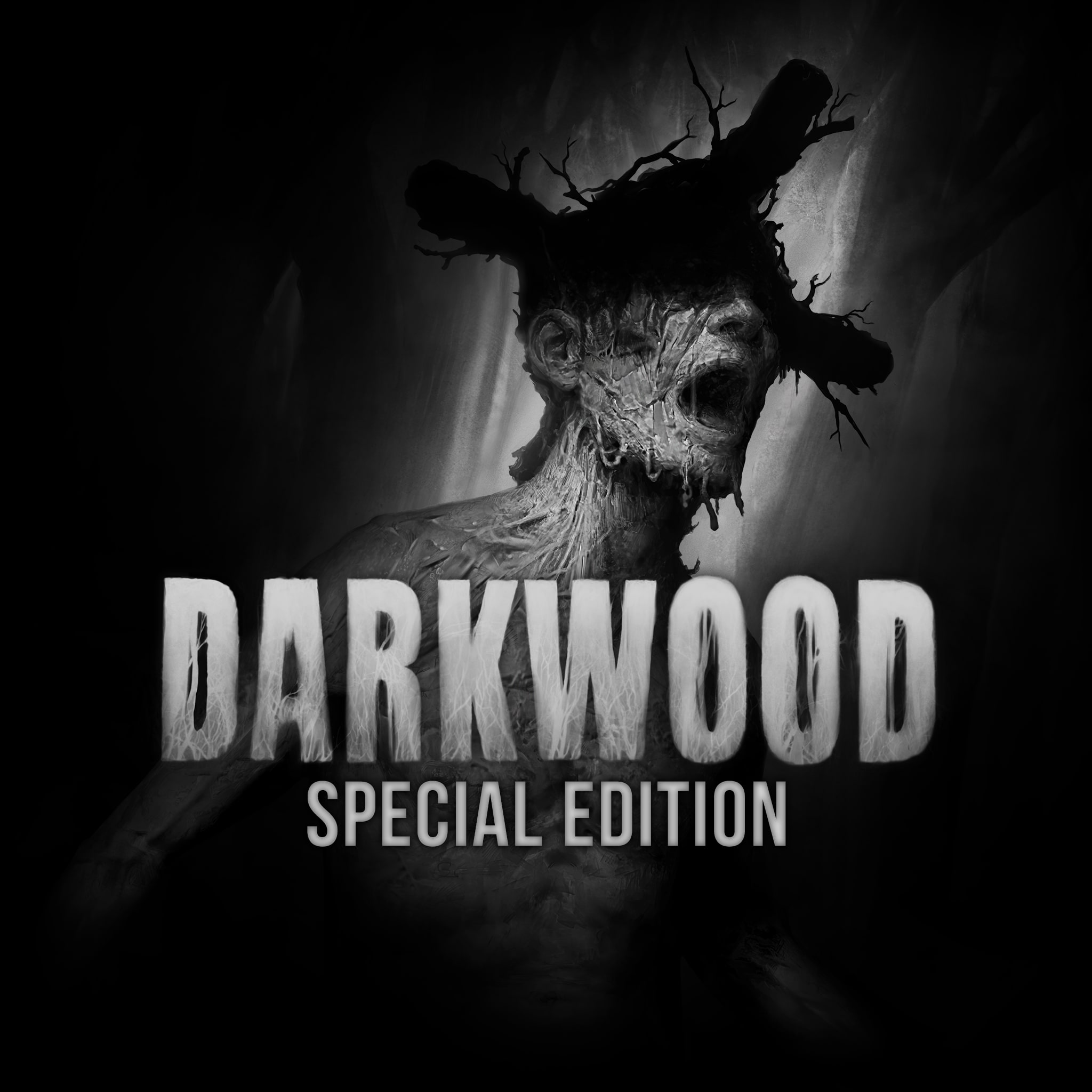 Darkwood - Special Edition