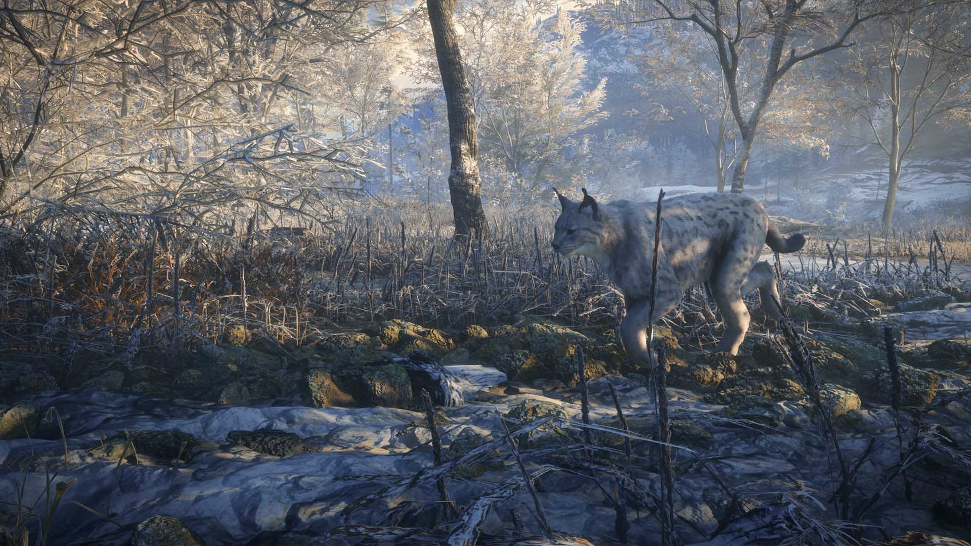 the hunter call of the wild 2021 edition ps4