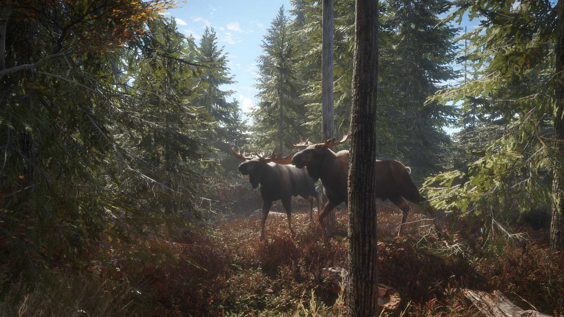 the hunter call of the wild playstation store