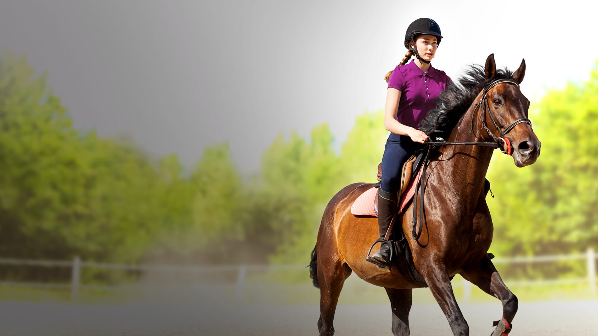 My Little Riding Champion