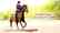 My Little Riding Champion (英文)