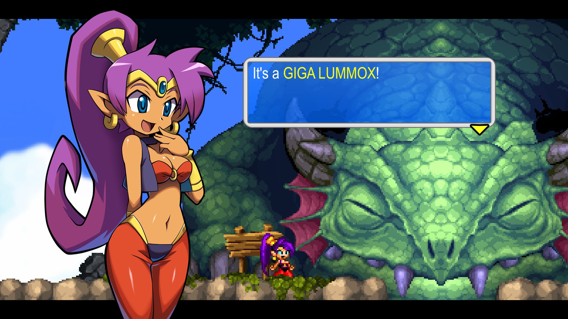 Shantae and the pirates curse. Shantae and the Pirate's Curse игра. Shantae Pirate. Shantae and the Pirate's Curse Art.