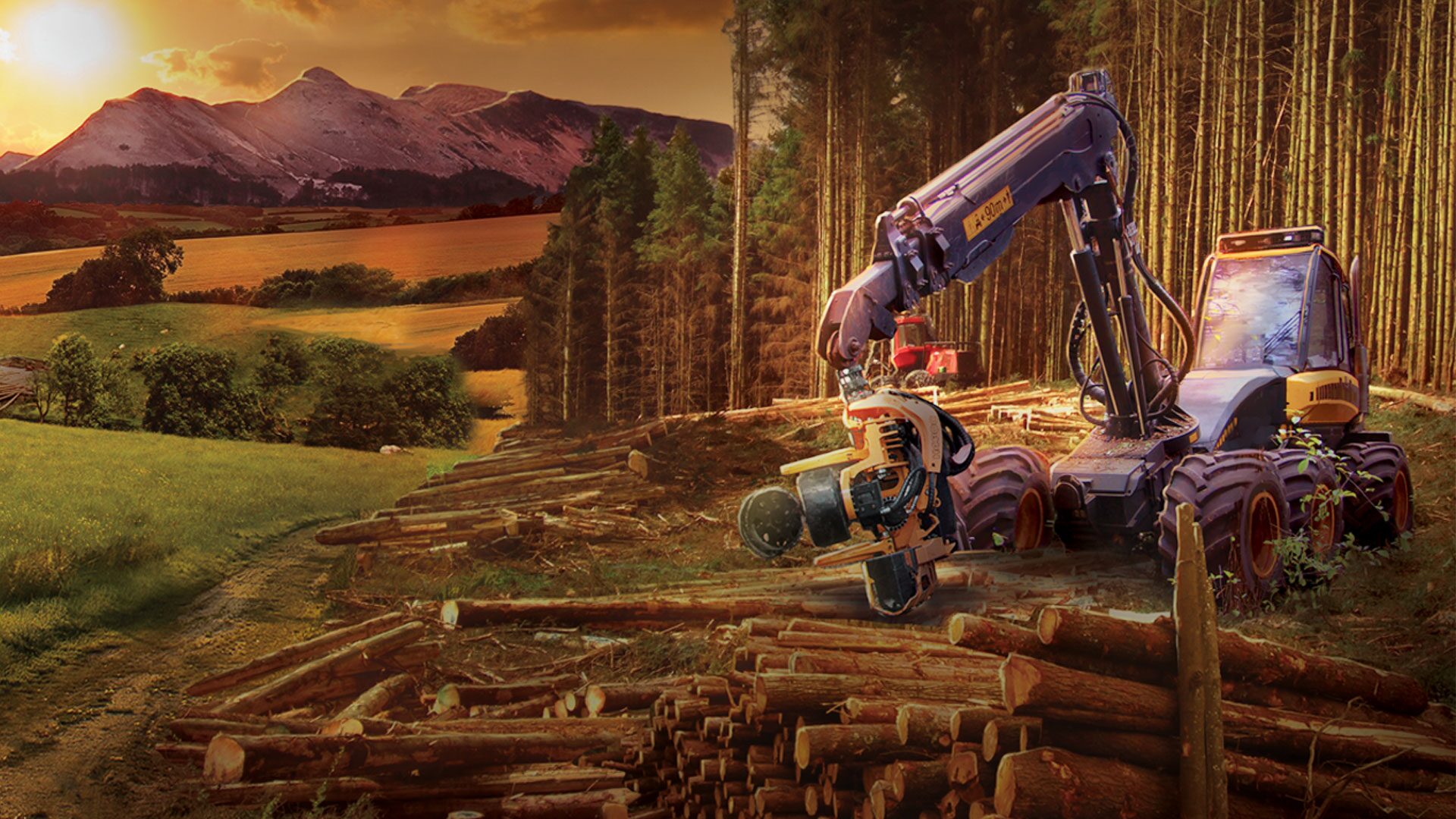 Forestry 2017 - The Simulation