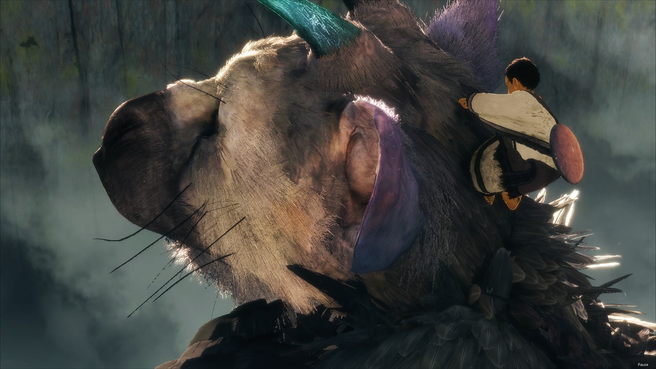 The Last Guardian at the best price