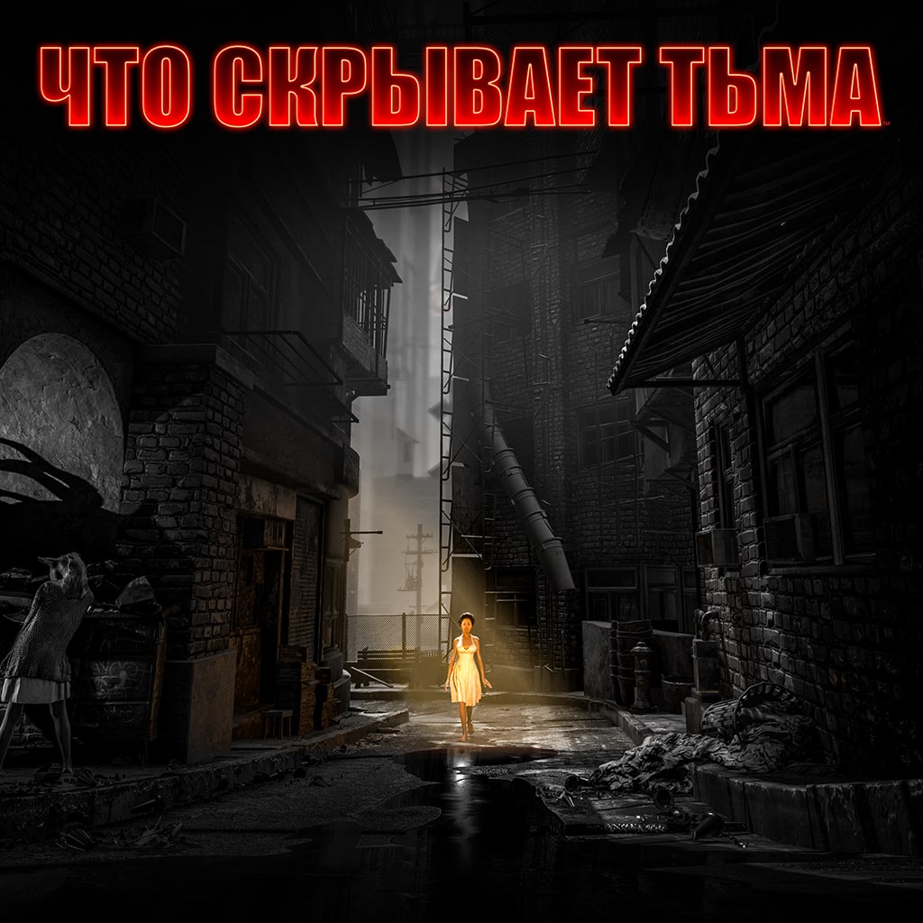 Что скрывает тьма