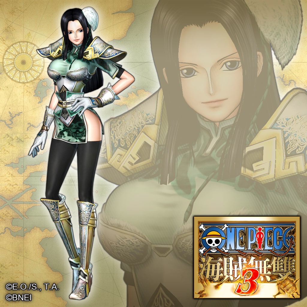 Additional Costume: ROBIN (Dynasty Warriors Ver.) (中文版)