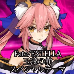 Fate Extella 玉藻の前 スペシャルテーマ For Ps4 Buy Cheaper In Official Store Psprices 日本