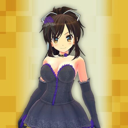 閃乱カグラ Burst Re:Newal