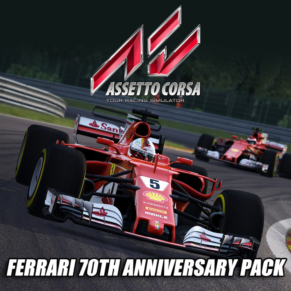 Assetto corsa steam key фото 16