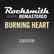 Rocksmith® 2014 - Survivor - Burning Heart