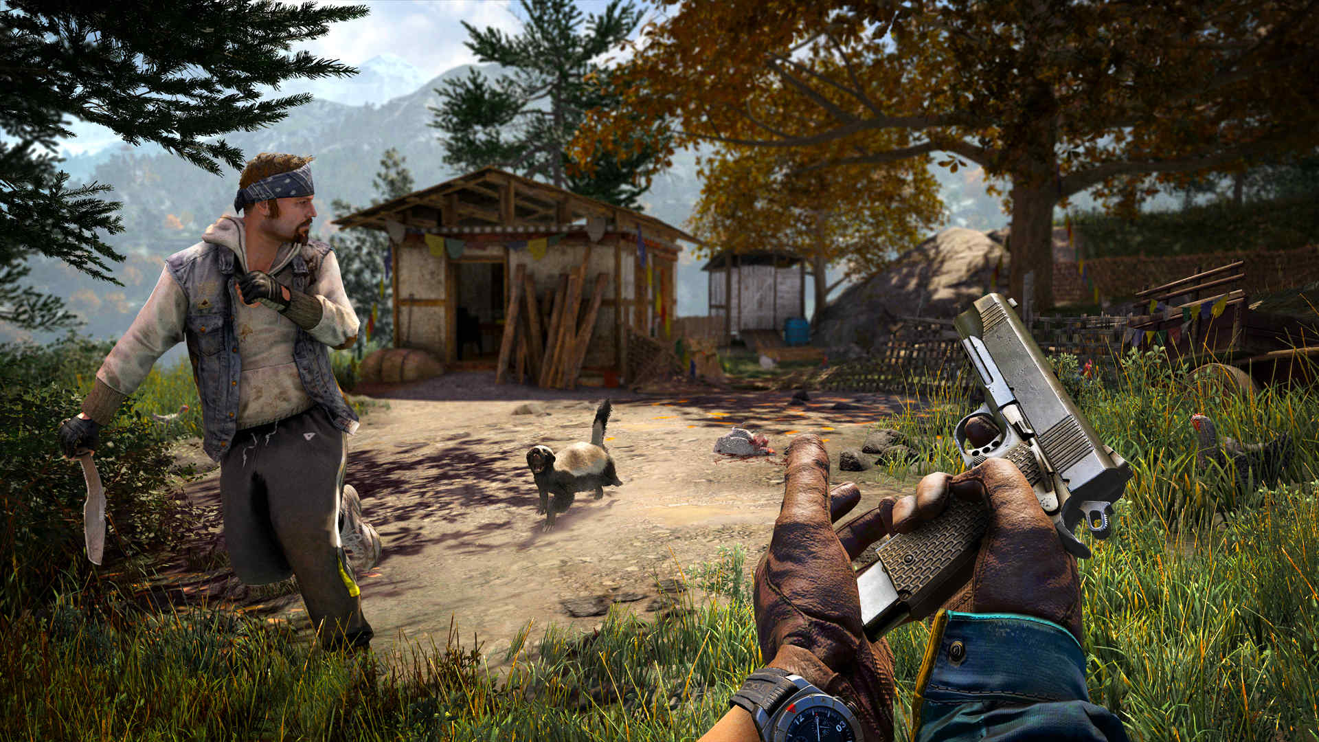 Far Cry 4 on PS4 — price history, screenshots, discounts • Malta