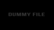 Rocksmith® 2014 - Black Label Society - Stillborn