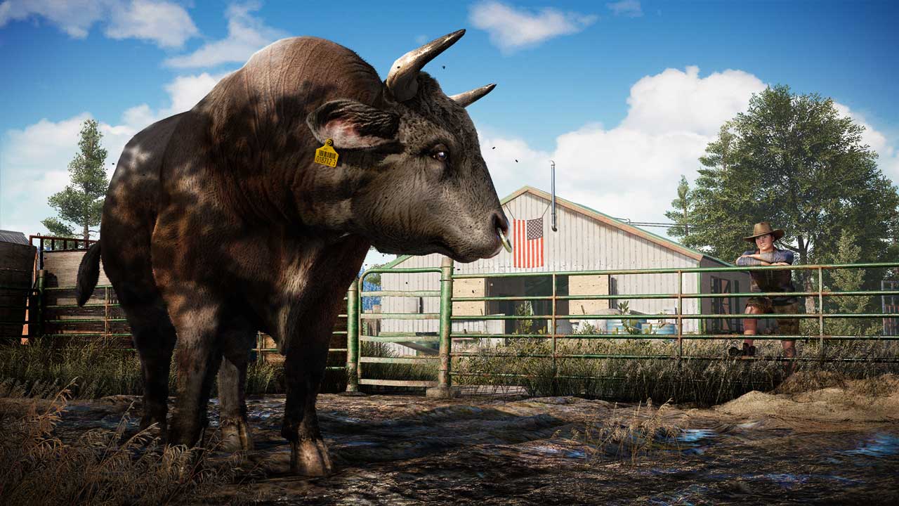 Far Cry 5 - PS4 - Ibyte