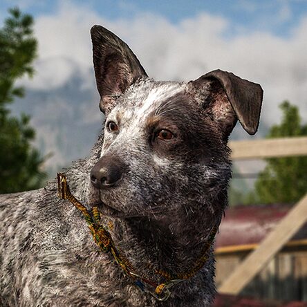 Far Cry 5 Gold Edition on PS4 — price history, screenshots, discounts • USA