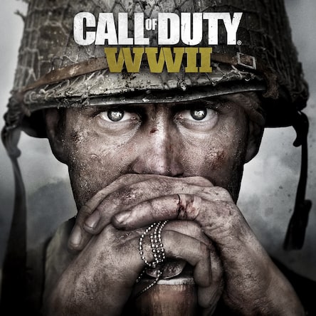 Call of Duty: WWII Gold Edition, Activision, PlayStation 4, 047875882478 