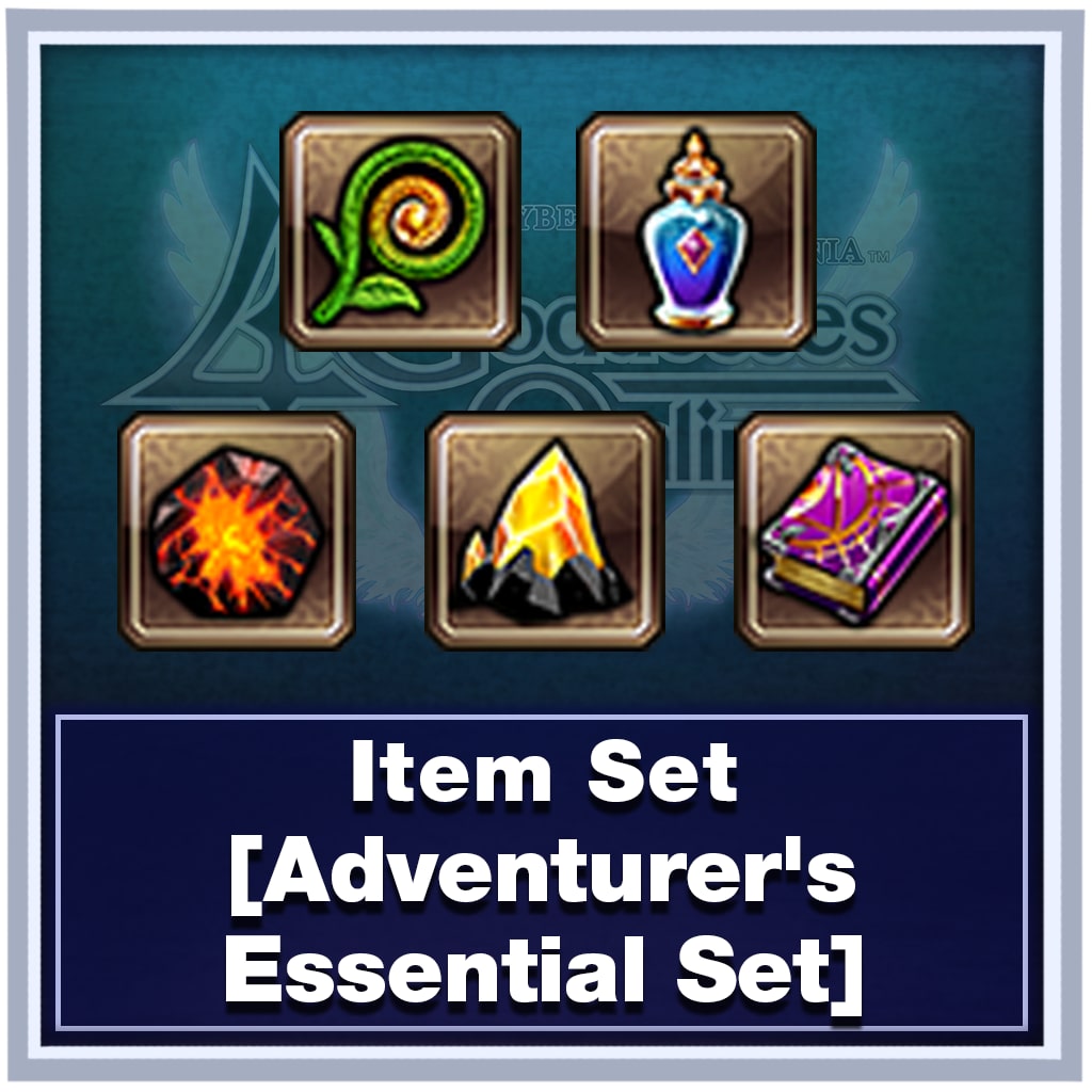 Item Set [Adventurer's Essential Set]