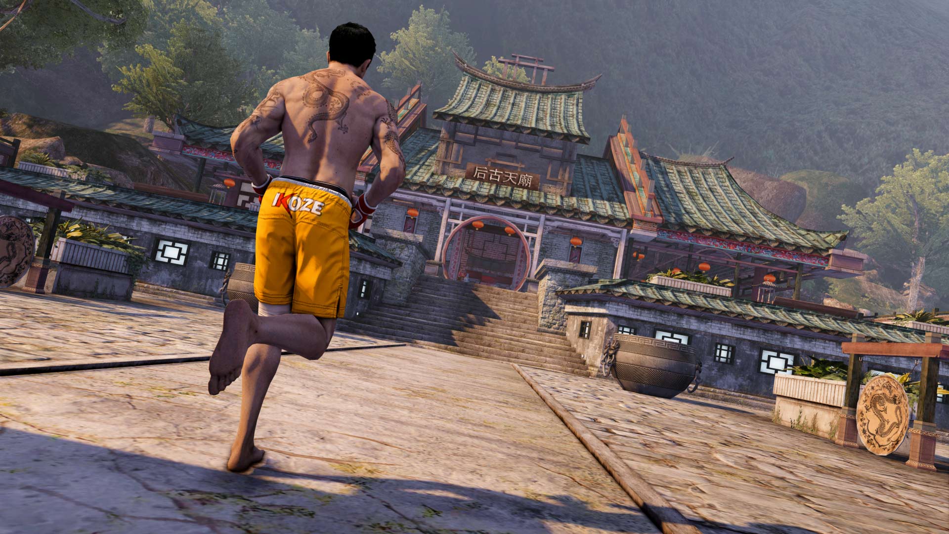 Sleeping Dogs Definitive Edition on PS4 — price history, screenshots,  discounts • Panama