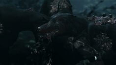 screenshot9