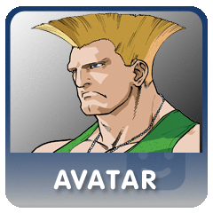 Street Fighter® Alpha 3 Guile Avatar PS3 — buy online and track