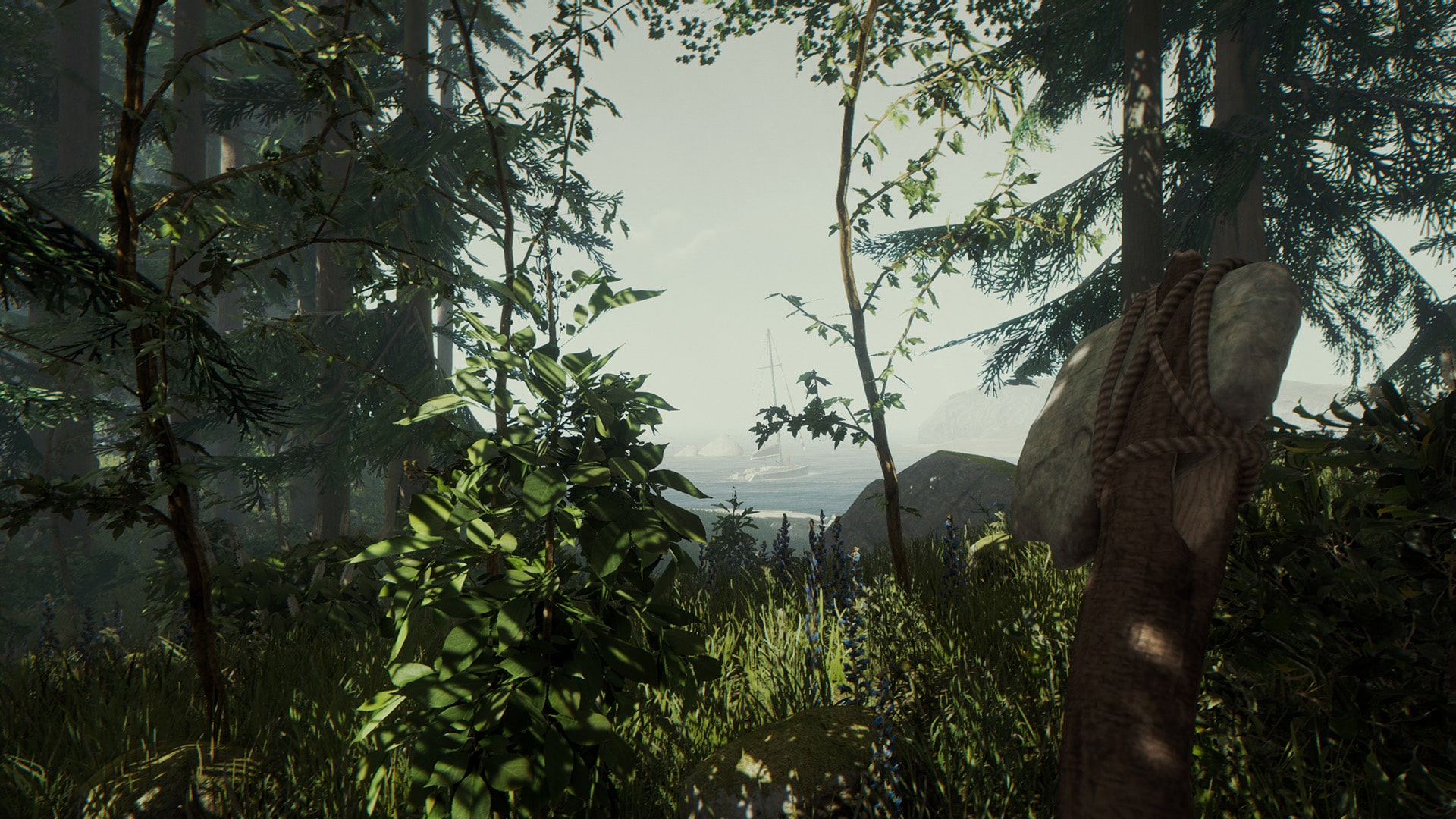  The Forest Ps4