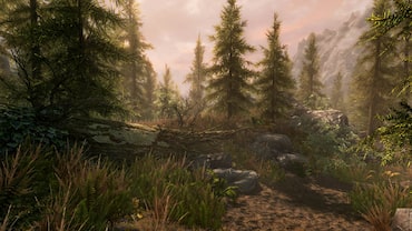 The Elder Scrolls V: Skyrim Special Edition
