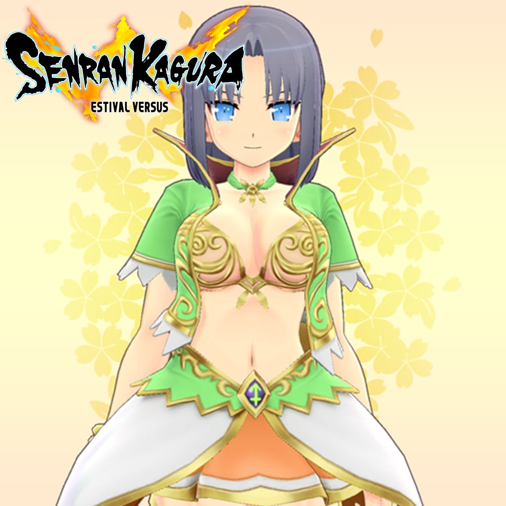 Fallen Knight on X: WTF!? All the characters in Senran Kagura