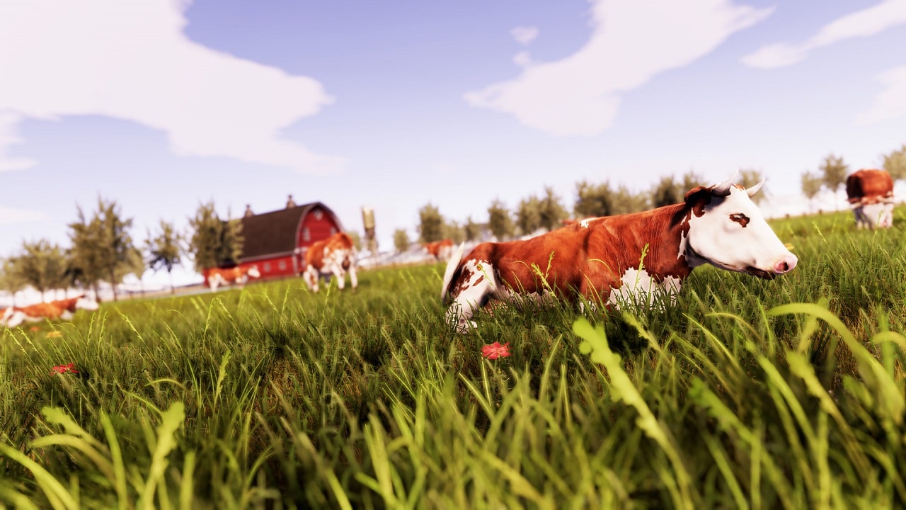 Real Farm - Premium Edition Coming to PS5™, Xbox Series X