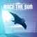 RACE THE SUN®