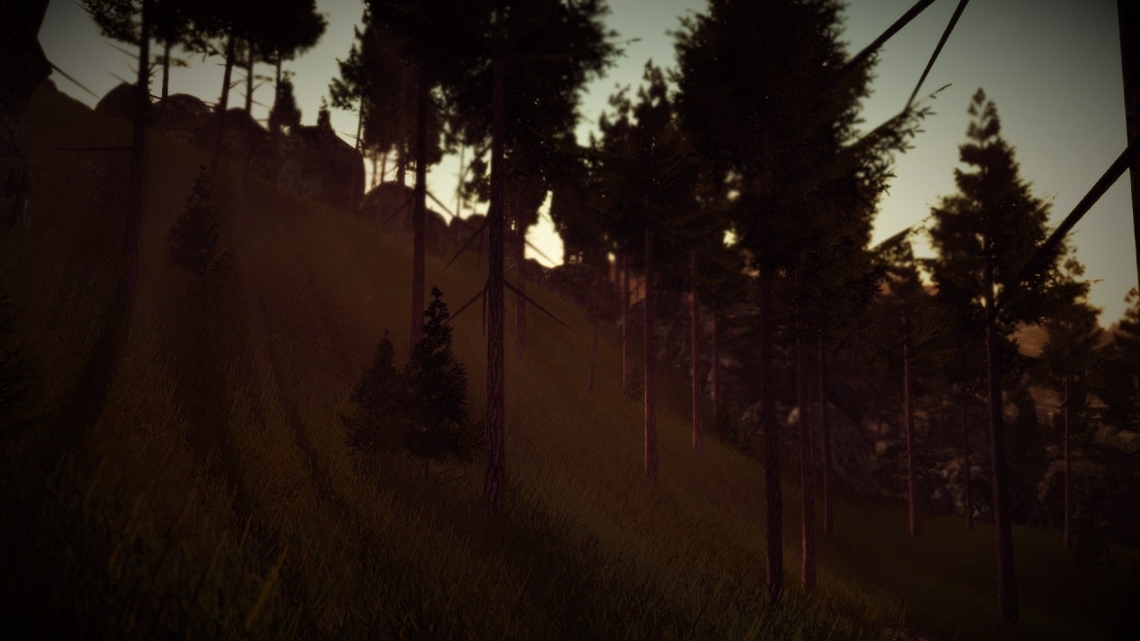#10. Slender: The Arrival (PlayStation) 由: Blue Isle Studios