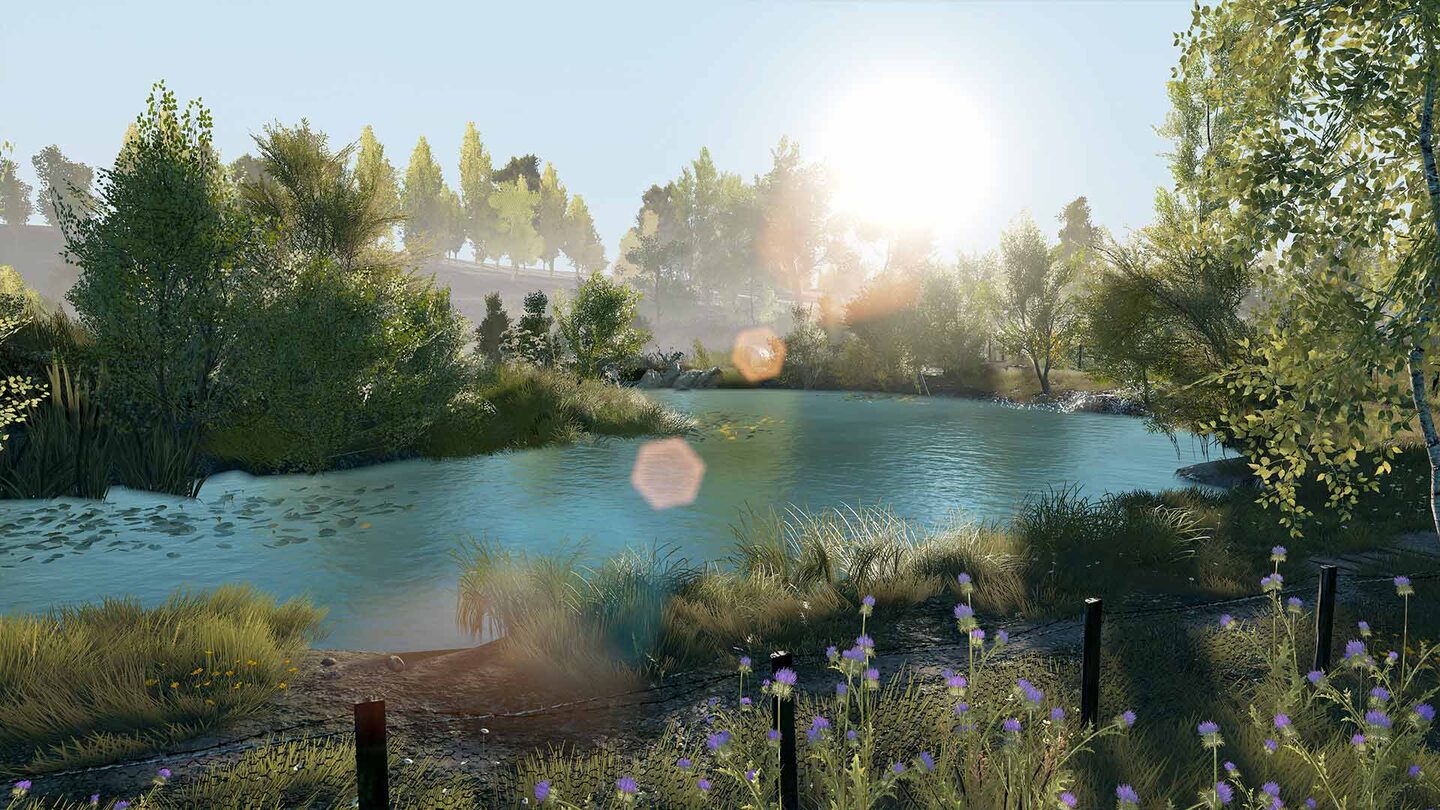 Full Size Image