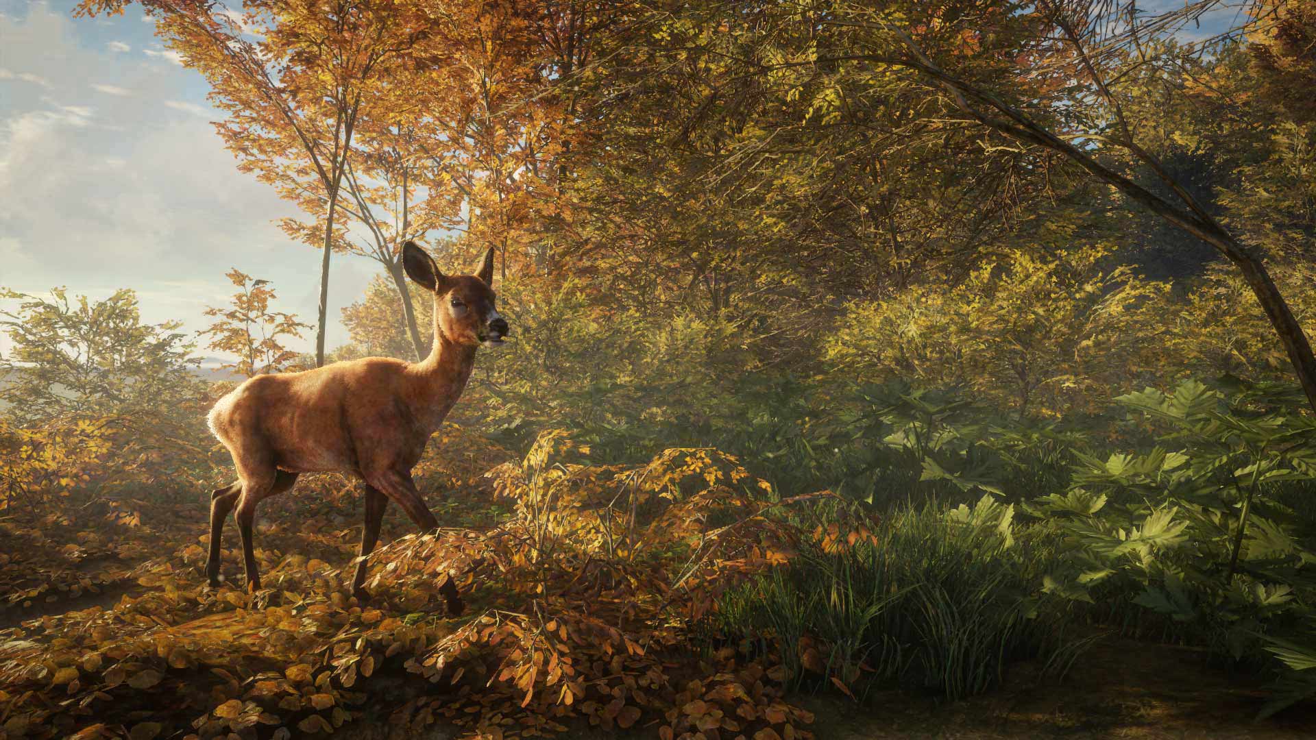Thehunter Call Of The Wild 21 Edition