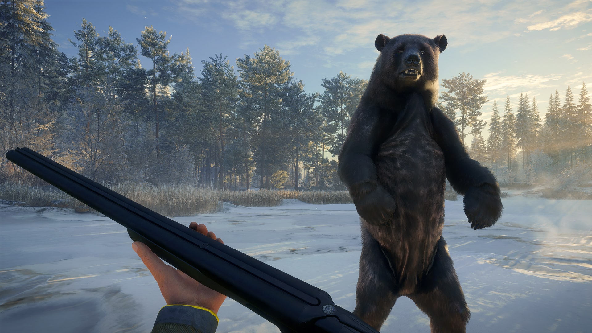 theHunter: Call of the Wild - Hunter Power Pack at the best price