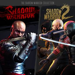 shadow warrior ps4 invincibility codes