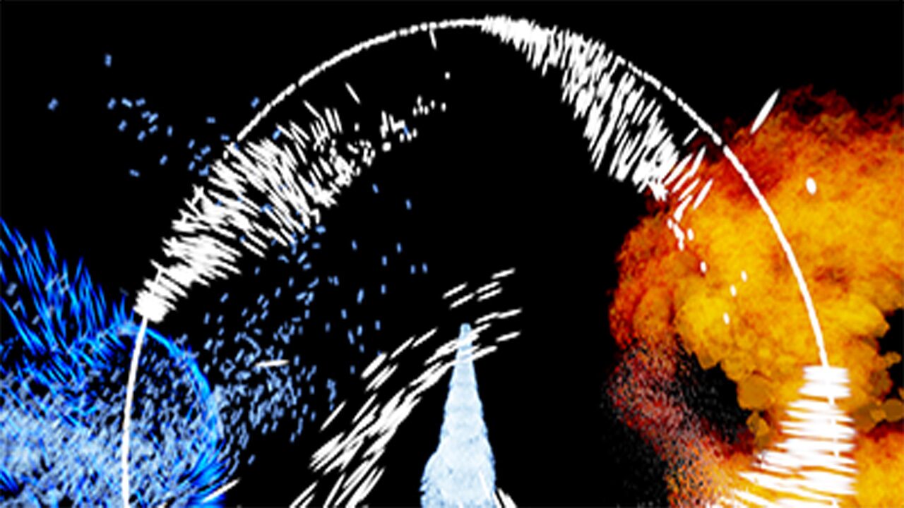 Full Size Image