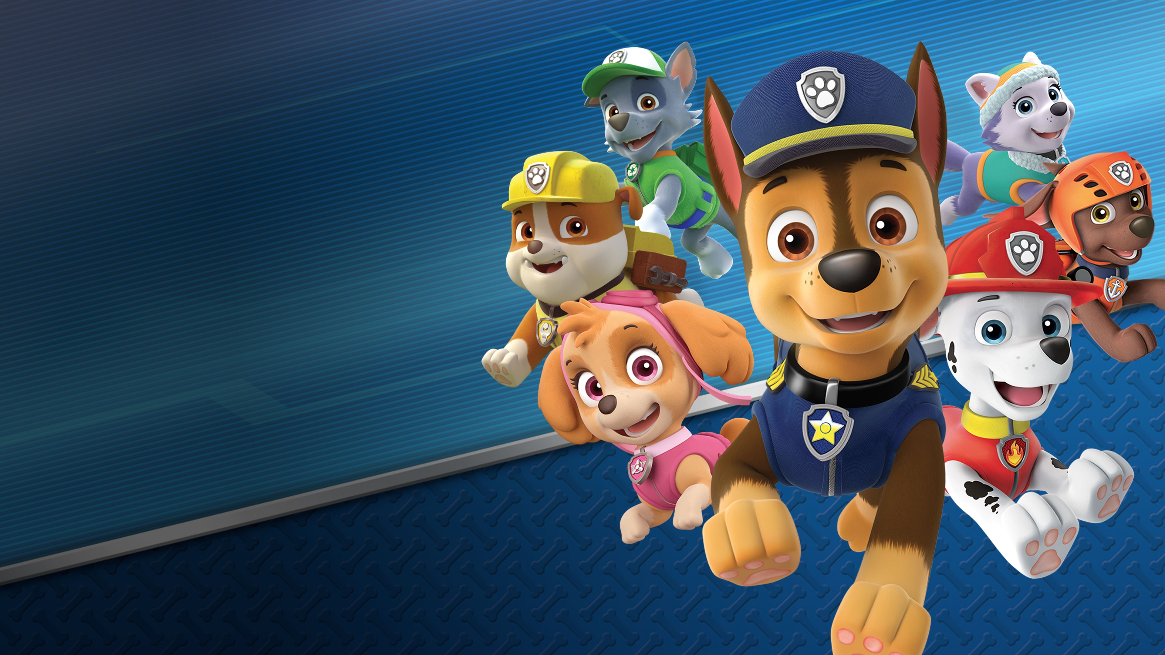 paw patrol playstation 3