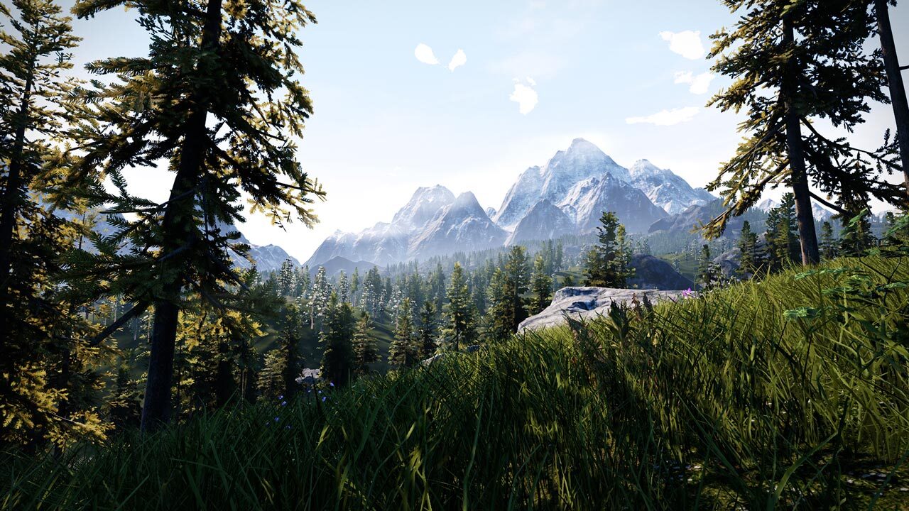 Full Size Image