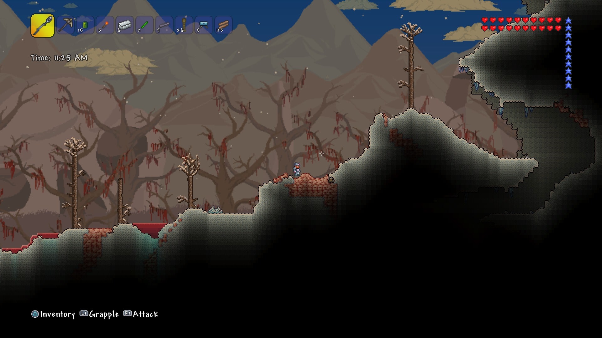 Terraria: PS4™ Edition