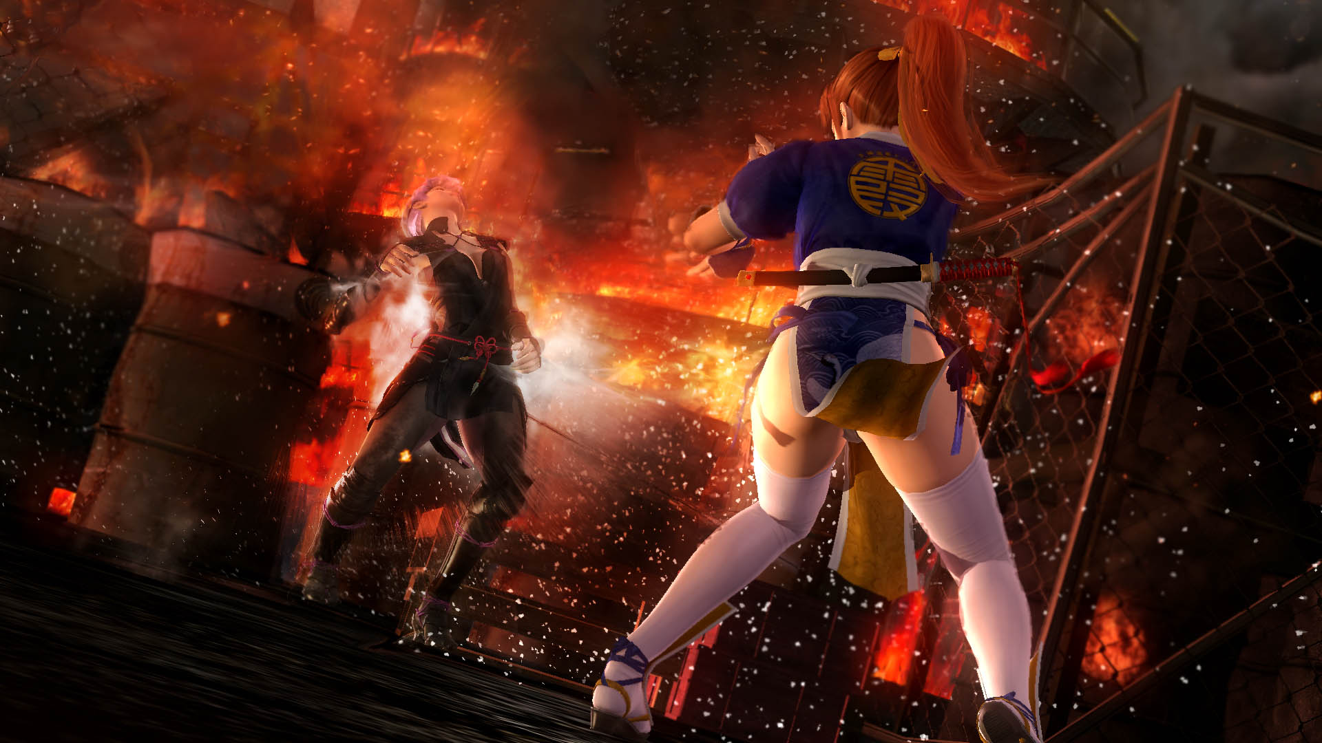 Dead Or Alive 5 Last Round on PS4 — price history, screenshots