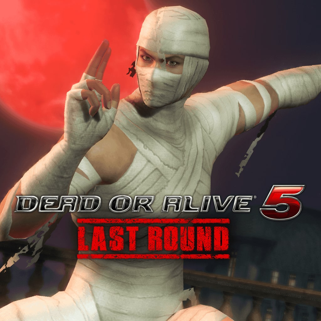 DOA5LR Hayabusa Halloween Costume