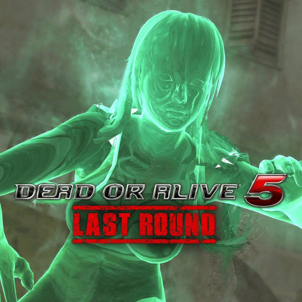 Online play for Dead or Alive 5 Last Round delayed on PC after 'major  issues' with beta - Polygon
