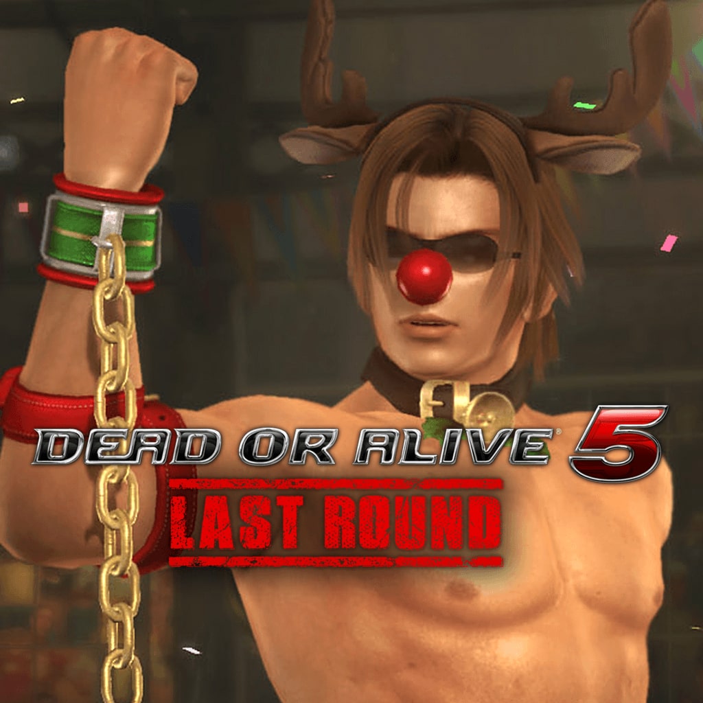 DOA5LR Ein Christmas Costume