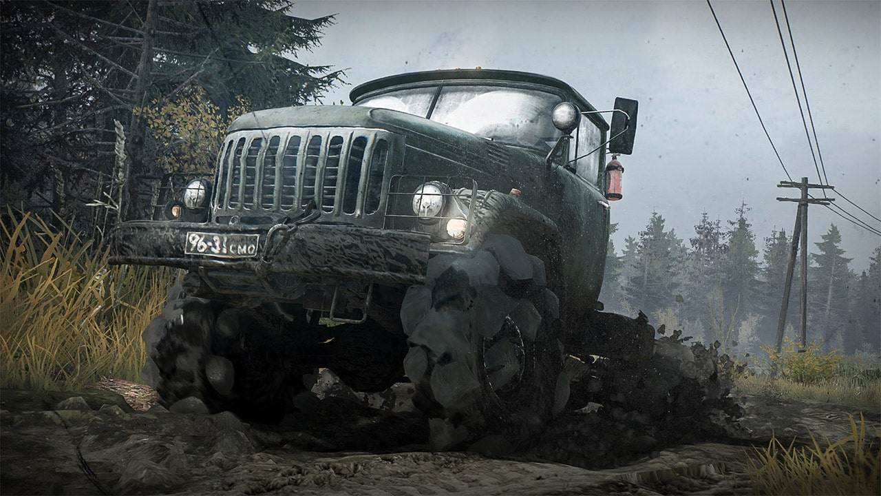 Full Size Image