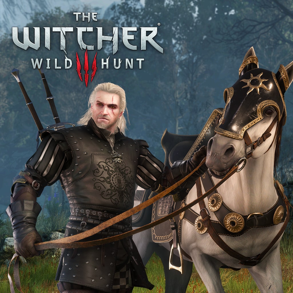 The Witcher 3: Wild Hunt - Nilfgaardian Armor Set
