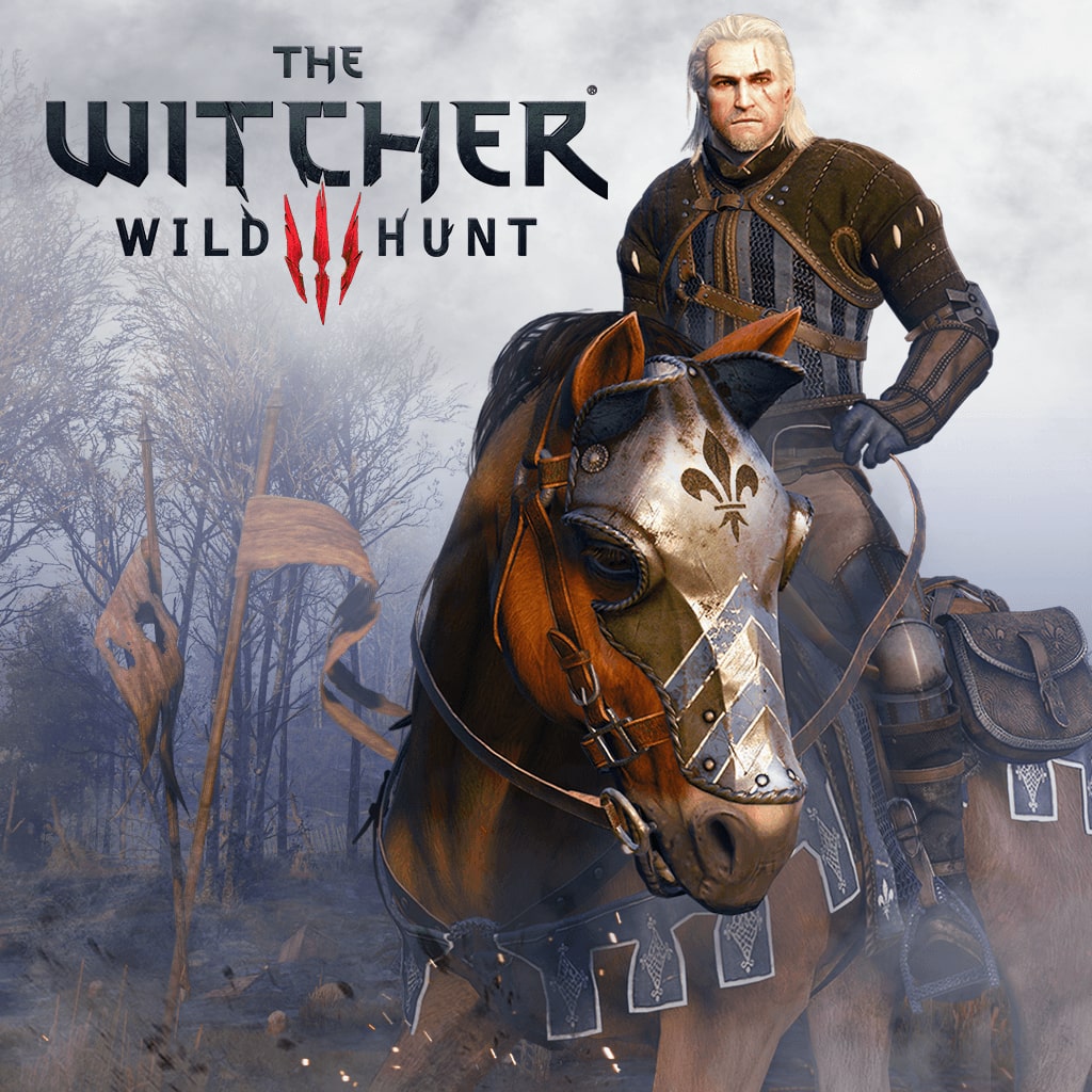 The Witcher 3: Wild Hunt - Temerian Armor Set