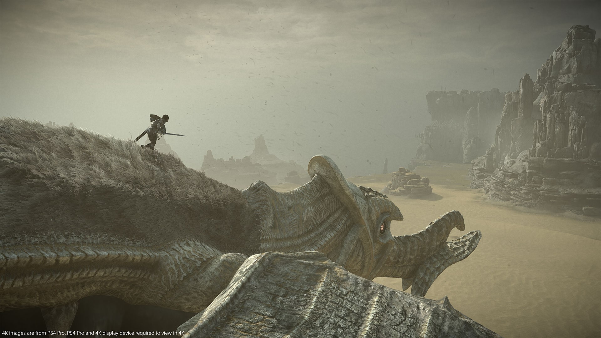 shadow of the colossus ps store