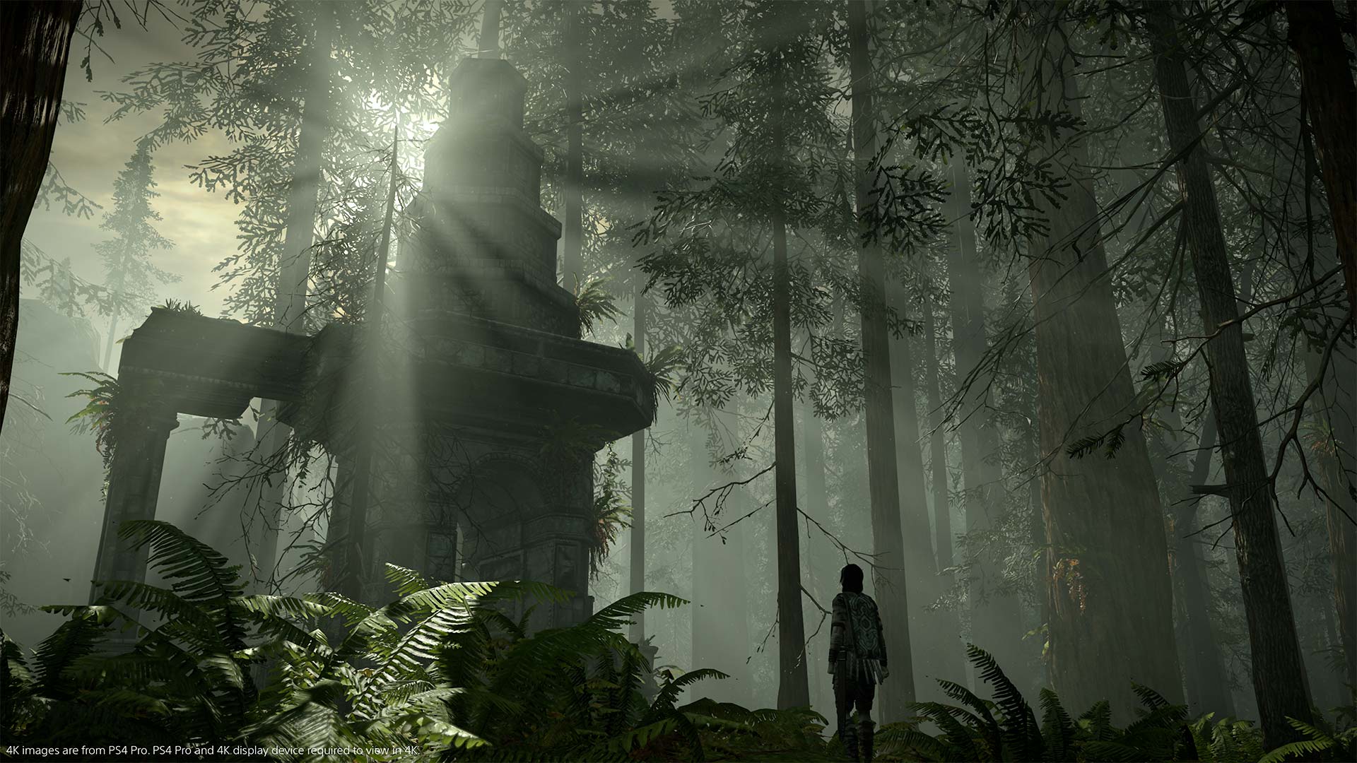  Shadow of the Colossus - PlayStation 4 : Sony Interactive  Entertai: Everything Else